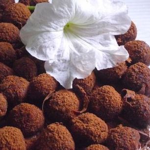 Рецепт Торта по поводу