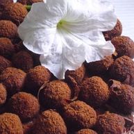 Рецепт Торта по поводу