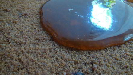 Рецепт торта прага