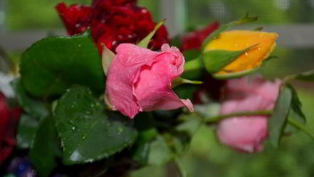 Рецепт торта праздничного