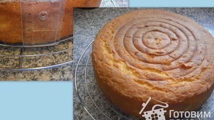 Рецепт желткова-маслянного бисквит