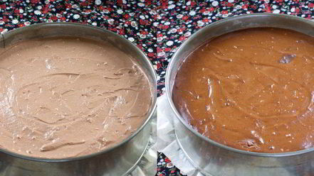 Рецепт вафель с кокосом и какао