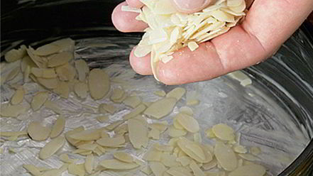 Рецепт творожной запеканки с абрикосами