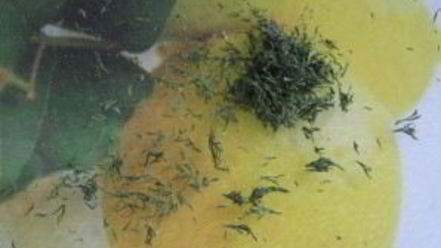 Рецепт запеканки под сметанным соусом