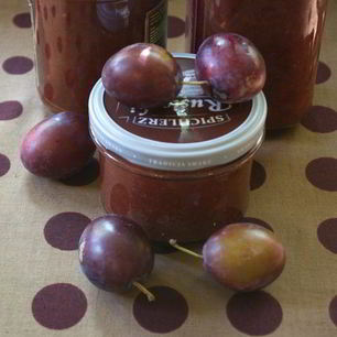 Рецепт Аджики из слив