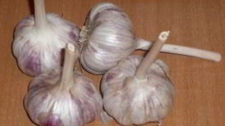 Рецепт аджики из томатов