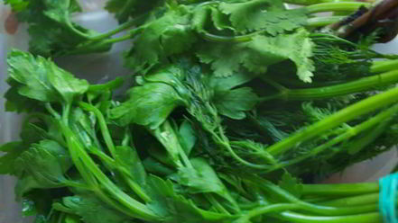 Рецепт аджики холодным способом