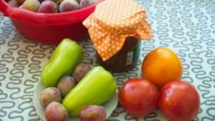 Рецепт аджики со сливами на зиму