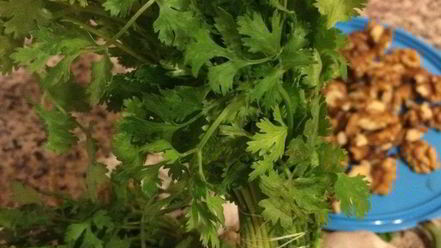 Рецепт зеленой аджики