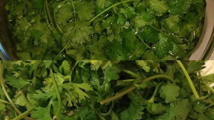 Рецепт зеленой аджики