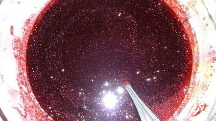 Рецепт черничного джема