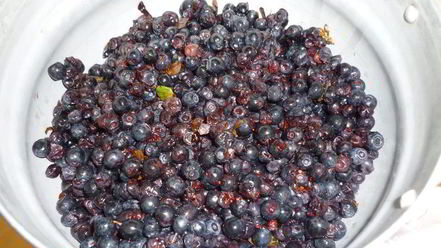 Рецепт черничного джема