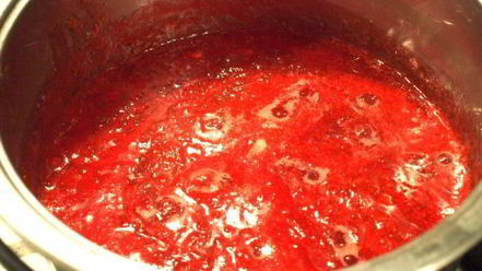 Рецепт джема из яблок и калины