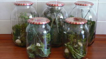 Рецепт хрустящих огурцов