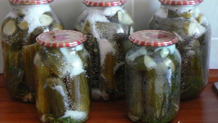 Рецепт хрустящих огурцов