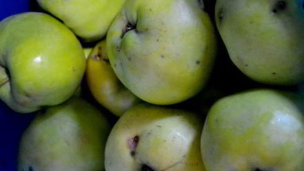 Рецепт компота для мужа