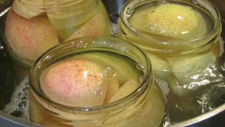 Рецепт компота грушевого с медом