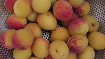 Рецепт компота из абрикосов и черной смородины на зиму