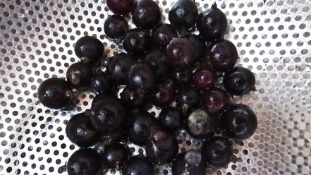 Рецепт компота из абрикосов и черной смородины на зиму