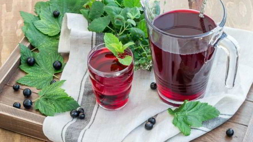 Рецепт компота из черной смородины