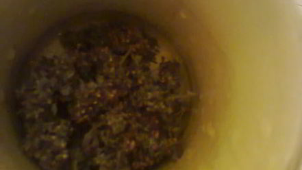 Рецепт компота из фейхоа с орегано