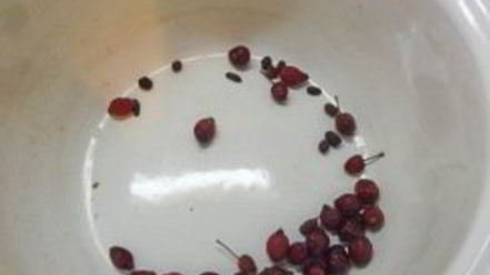 Рецепт компота из имбиря