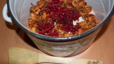 Рецепт компота из калины и яблок