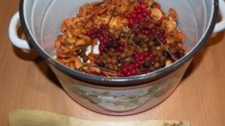 Рецепт компота из калины и яблок