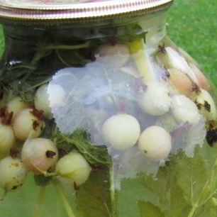 Рецепт Компота из крыжовника Мохито