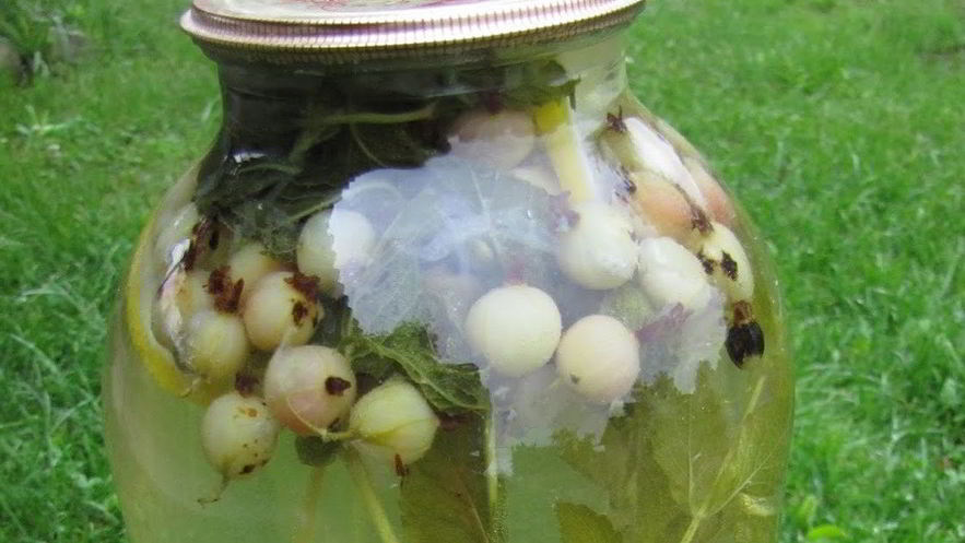 Рецепт компота из крыжовника мохито