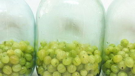 Рецепт компота из крыжовника мохито