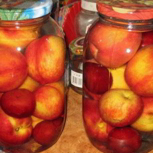 Рецепт Компота из нектаринов