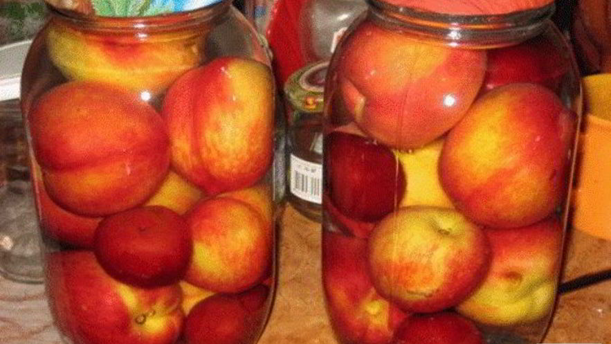 Рецепт компота из нектаринов