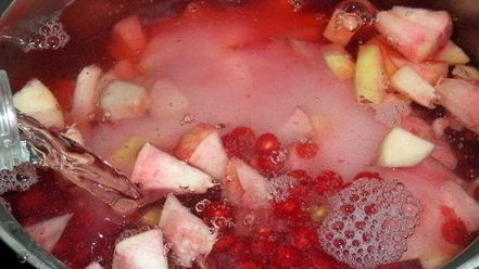 Рецепт компота из персиков и красной смородины