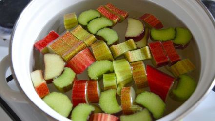 Рецепт компота из ревеня с имбирем и лимоном