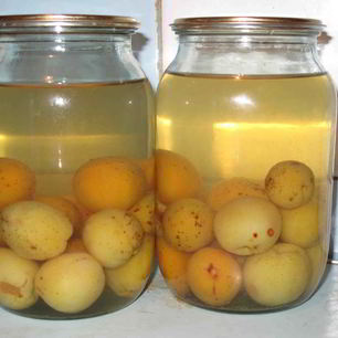 Рецепт Компота из слив с косточками на зиму