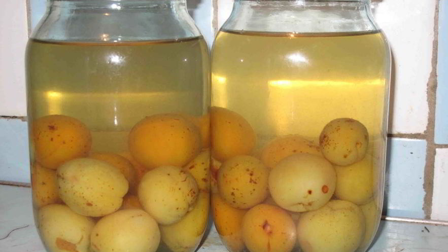 Рецепт компота из слив с косточками на зиму