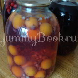Рецепт Компота из ягод