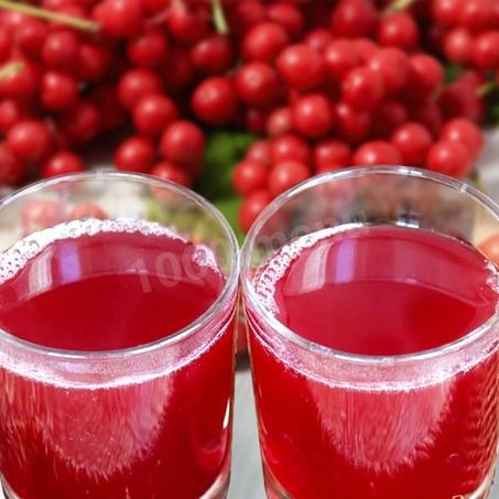 Рецепт Лимонника компот