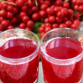 Рецепт Лимонника компот