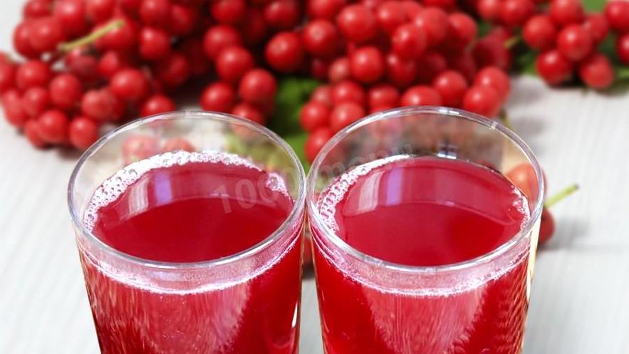 Рецепт лимонника компот