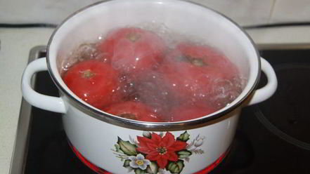 Рецепт лечо с виноградным соком