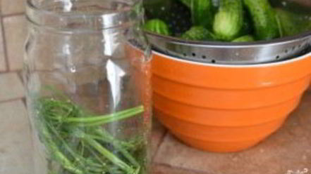 Рецепт быстрых маринованных огурцов