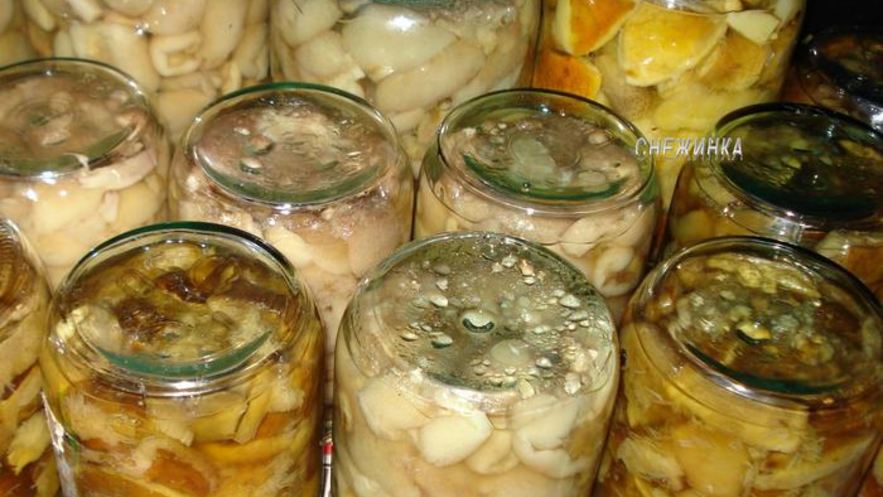 Рецепт грибов маринованных навсегда