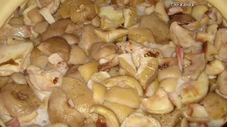 Рецепт грибов маринованных навсегда