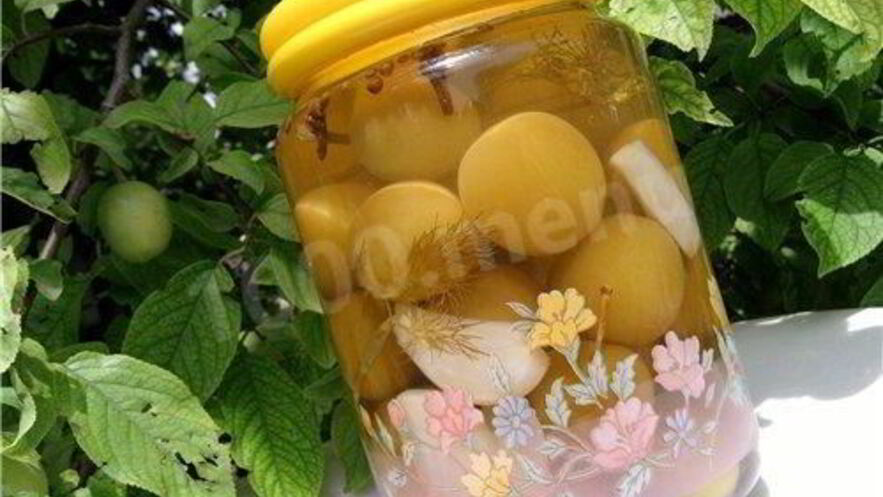 Рецепт маринованной алычи