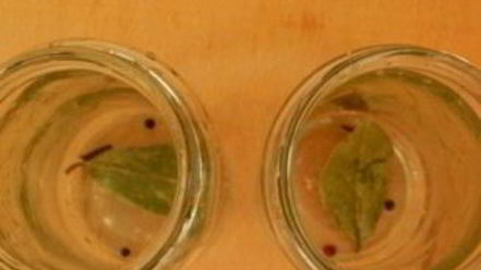 Рецепт маринованной капусты с лимонной кислотой на зиму