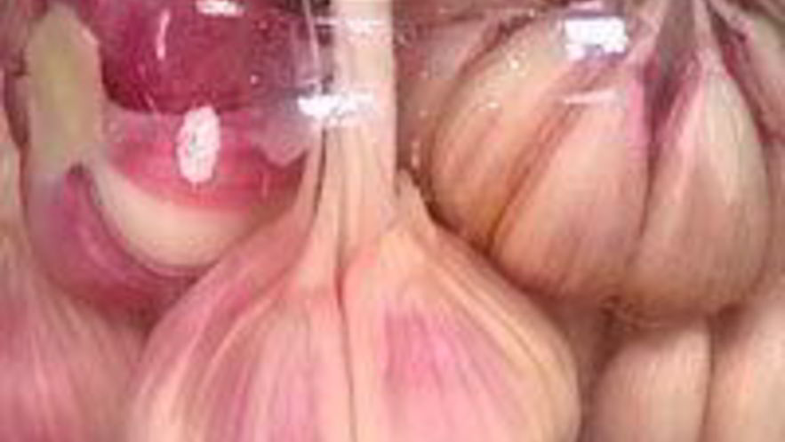 Рецепт маринованного чеснока