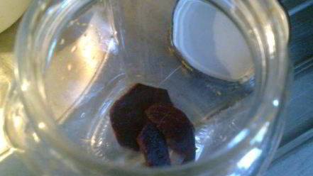 Рецепт маринованного лука