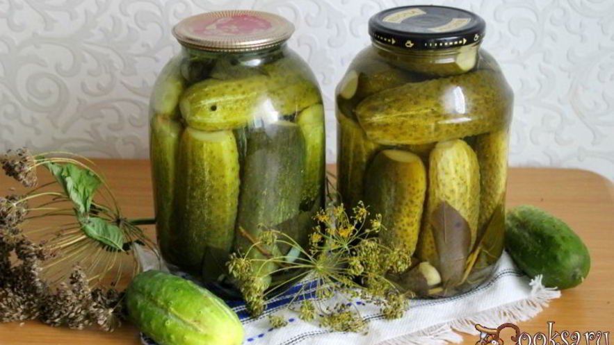 Рецепт маринованных огурцов с имбирем